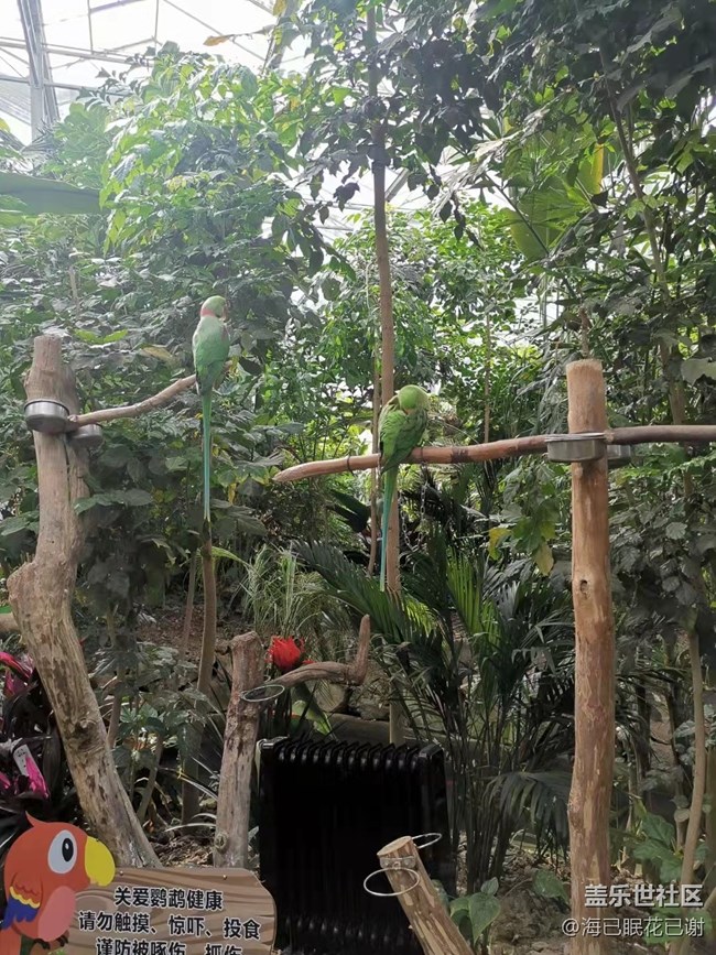 【家鄉(xiāng)年味】游樂園