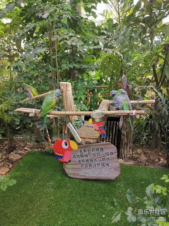 【家鄉(xiāng)年味】游樂園