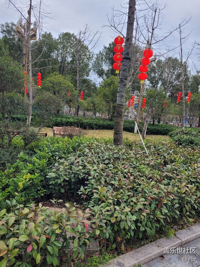 【家鄉(xiāng)年味】過(guò)年味兒