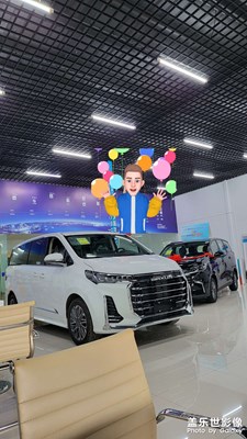 看車