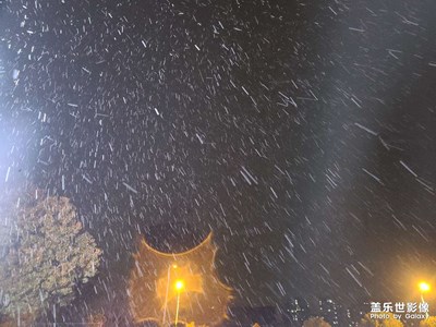 又見雪飄過