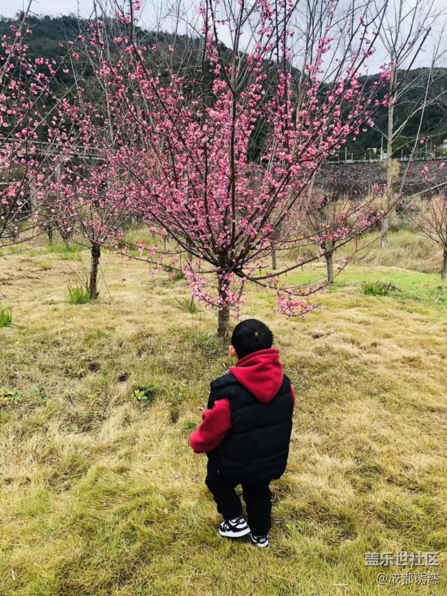 【家鄉(xiāng)年味】春節(jié)帶娃