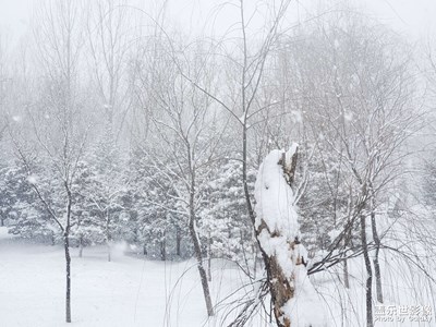 念奴嬌·春雪