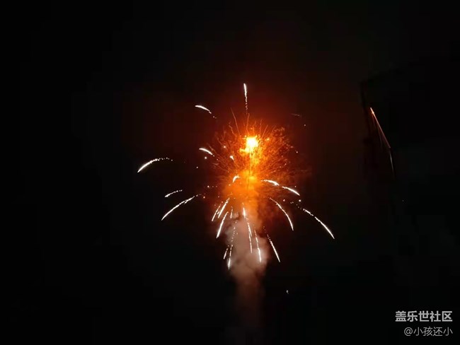 【家鄉(xiāng)年味】新年放煙花
