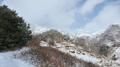 雪景隨拍