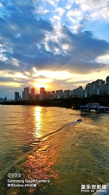 糊涂的拍