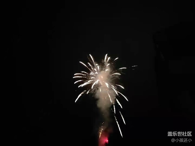 【家鄉(xiāng)年味】新年放煙花