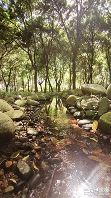公園里的小溪