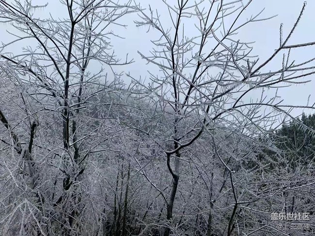 【家鄉(xiāng)年味】賞雪
