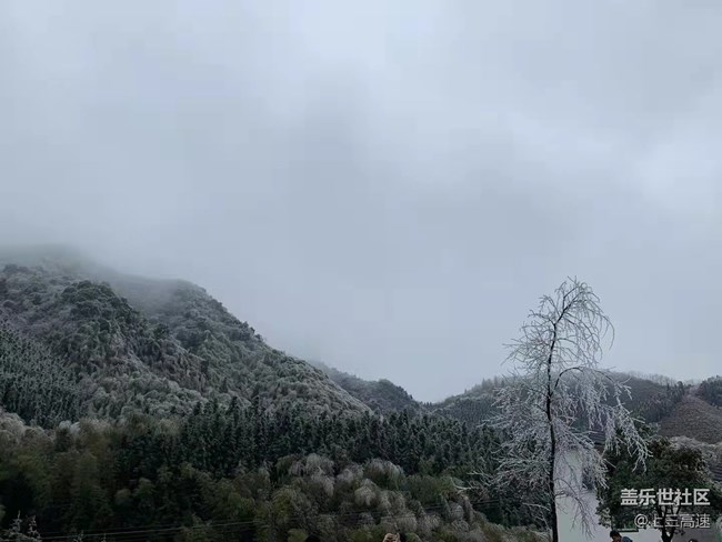 【家鄉(xiāng)年味】賞雪