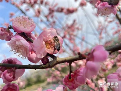 春日暖陽(yáng)