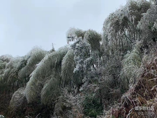 【家鄉(xiāng)年味】賞雪