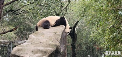 【身邊的美好】＋ 動物園