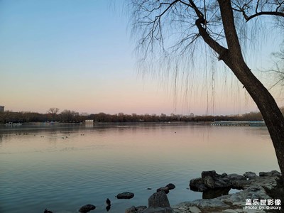 家附近的公園