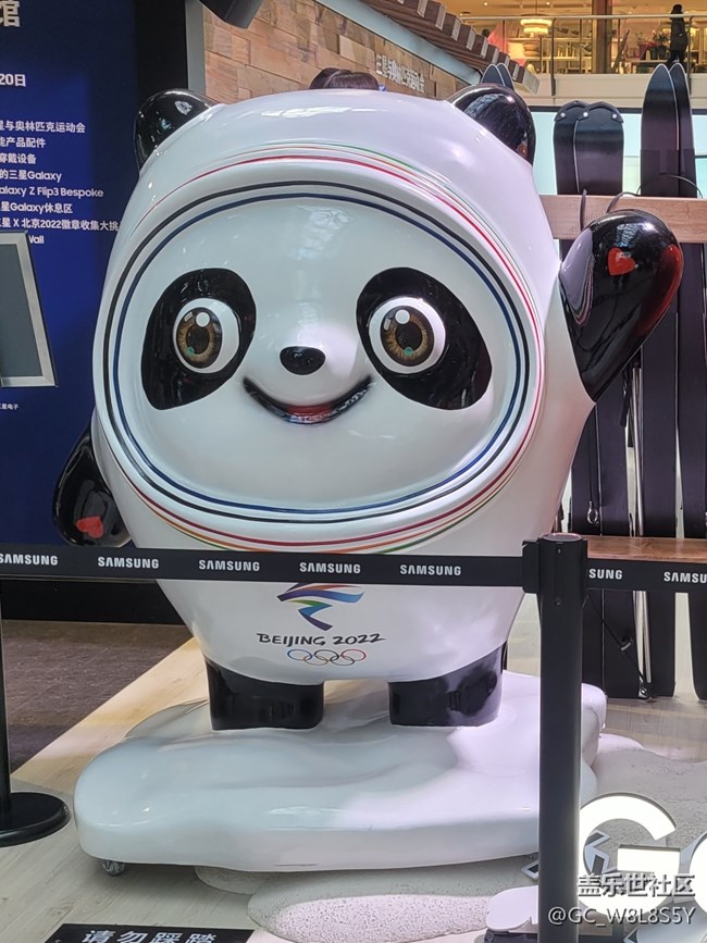 【暢享冬奧】+去看冰墩墩