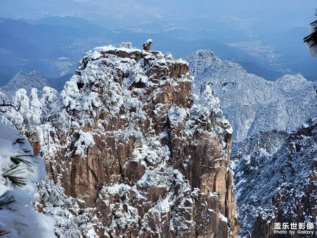 《每周星鮮事》 第95期:Galaxy S22系列 新品上市 立即預(yù)約