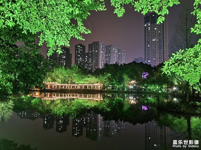 西湖美景