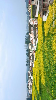 [街頭]＋鄉(xiāng)下的田野