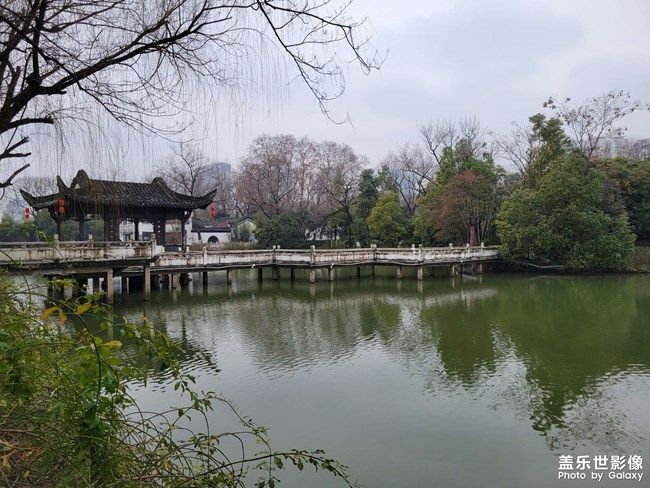 《每周星鮮事》 第95期:Galaxy S22系列 新品上市 立即預(yù)約