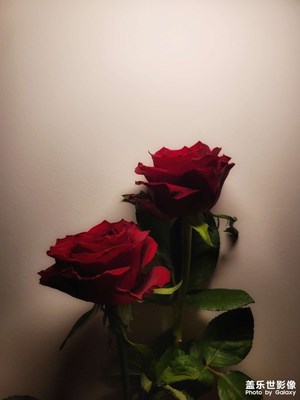 花花的世界
