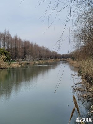 公園