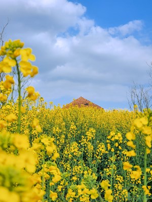 [場景小拍]＋春意