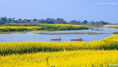 逛在春風(fēng)里