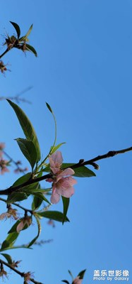 時間