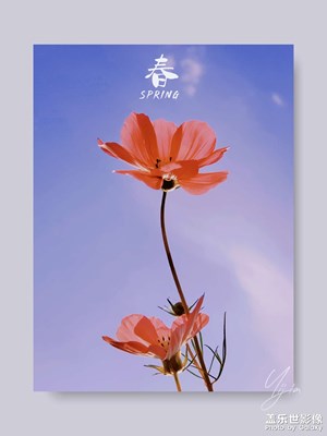 春