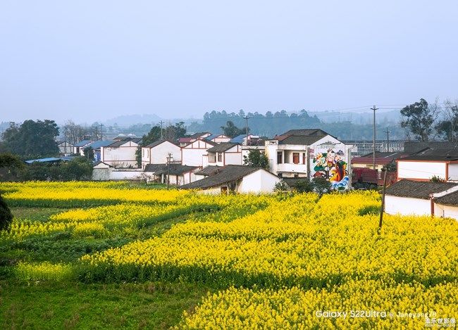 《每周星鮮事》 第96期:Galaxy S22系列 新品上市 立即購買 《每周星鮮事》 第96期:Galaxy S22系列 新品上市 立即購買