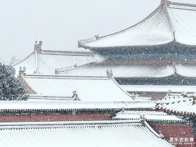 《每周星鮮事》 第96期: 《每周星鮮事》 第96期: