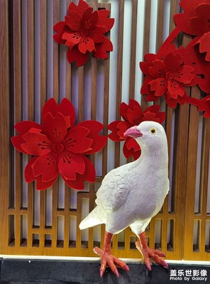 【場景小拍】+總布胡同