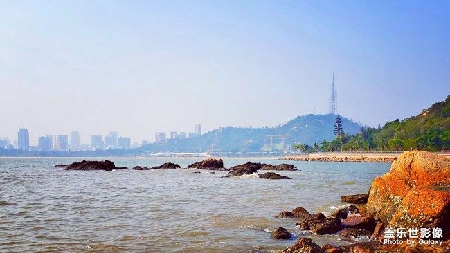 《每周星鮮事》 第96期: 《每周星鮮事》 第96期: