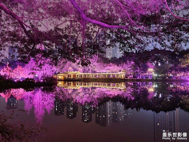 《每周星鮮事》 第96期:Galaxy S22系列 新品上市 立即購買 《每周星鮮事》 第96期:Galaxy S22系列 新品上市 立即購買