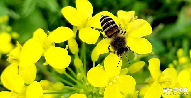 《每周星鮮事》 第96期:Galaxy S22系列 新品上市 立即購買 《每周星鮮事》 第96期:Galaxy S22系列 新品上市 立即購買