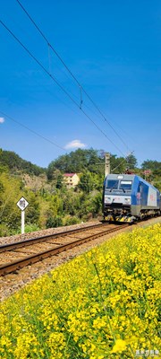 十里春風(fēng)花滿路