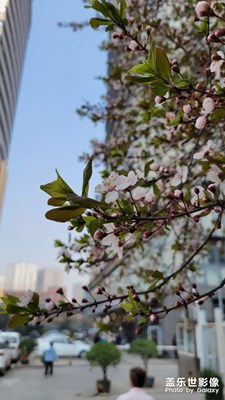 夏天到啦！