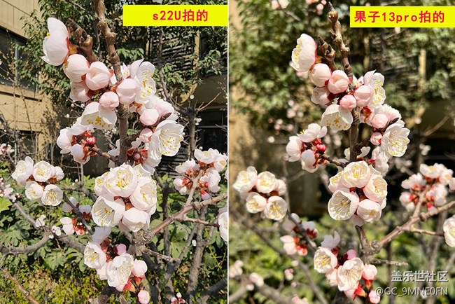 各位看下拍照區(qū)別