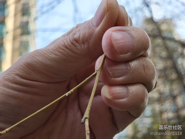 s22U的微距。