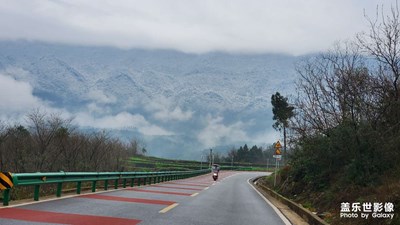 隨手拍～冬天（2）
