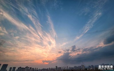 鳳舞九天