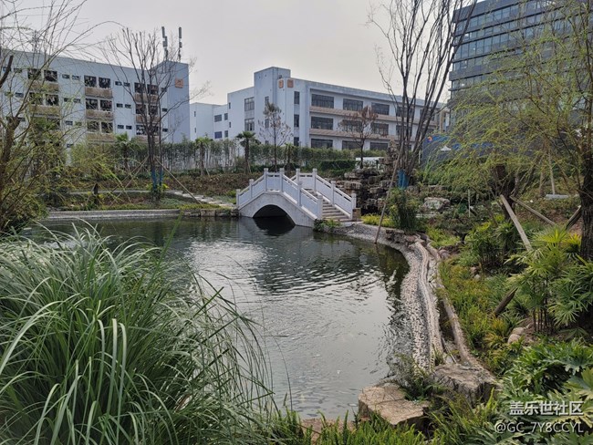 春日風(fēng)景，街景隨拍，純屬分享