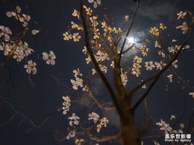 夜間模式