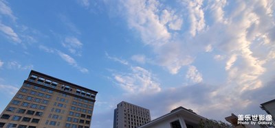 愛上張無忌