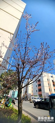 春暖花開