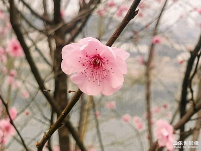 隨手一拍