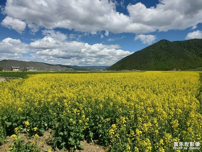 《每周星鮮事》 第97期:三星Galaxy S22系列試用計(jì)劃開啟