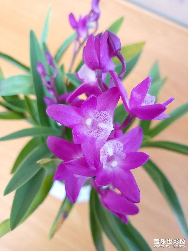 《每周星鮮事》 第97期:三星Galaxy S22系列試用計(jì)劃開啟