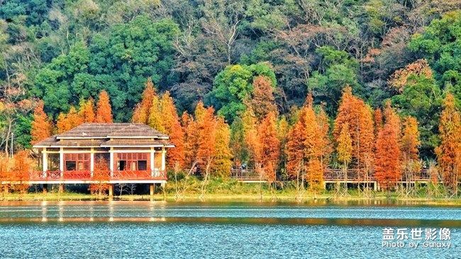 《每周星鮮事》 第97期:三星Galaxy S22系列試用計(jì)劃開啟