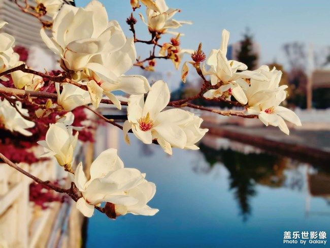 《每周星鮮事》 第97期:三星Galaxy S22系列試用計(jì)劃開啟